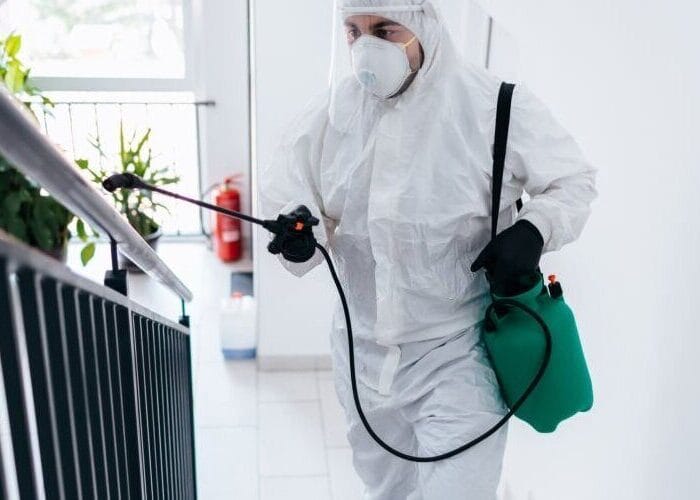 Servicii Profesionale DDD Dâmbovița – Intervenții Rapide