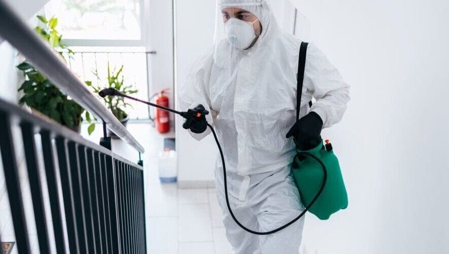 Servicii Profesionale DDD Dâmbovița – Intervenții Rapide